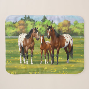 Brawn Bay Appaloosa Pferde im Sommer Weide Sherpadecke