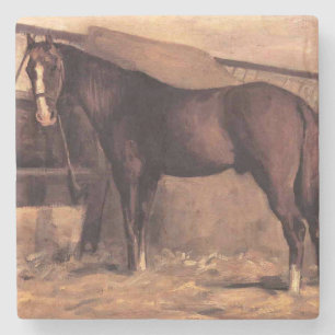 Brawn Bay Pferd im Stall Steinuntersetzer