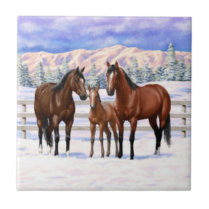 Brawn Bay Quarter Pferde im Schnee Fliese