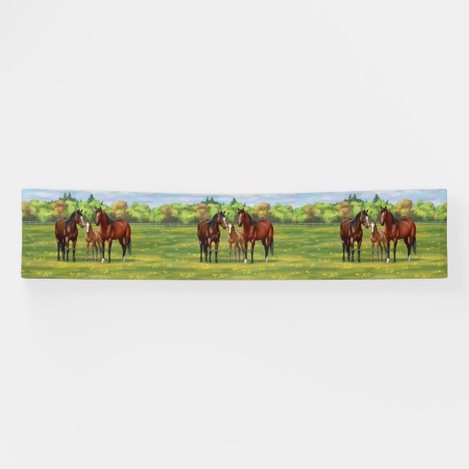 Brawn Bay Quarter Pferde im Sommer Weide Banner (Horizontal)
