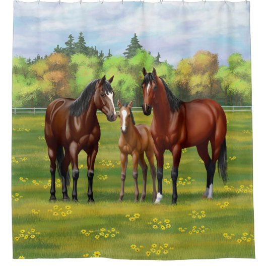 Brawn Bay Quarter Pferde im Sommer Weide Duschvorhang (Vorderseite)