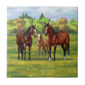 Brawn Bay Quarter Pferde im Sommer Weide Fliese (Vorderseite)