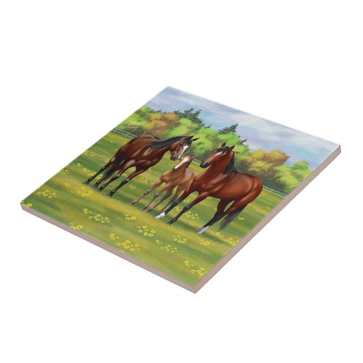 Brawn Bay Quarter Pferde im Sommer Weide Fliese (Seite)