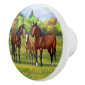 Brawn Bay Quarter Pferde im Sommer Weide Keramikknauf (Rechts)