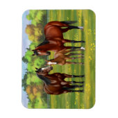 Brawn Bay Quarter Pferde im Sommer Weide Magnet (Vertikal)