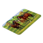 Brawn Bay Quarter Pferde im Sommer Weide Magnet (Linke Seite)