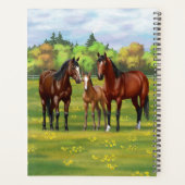 Brawn Bay Quarter Pferde im Sommer Weide Planer (Rückseite)