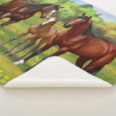 Brawn Bay Quarter Pferde im Sommer Weide Sherpadecke (3/4)