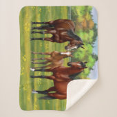 Brawn Bay Quarter Pferde im Sommer Weide Sherpadecke (Vorderseite)