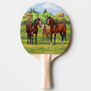 Brawn Bay Quarter Pferde im Sommer Weide Tischtennis Schläger