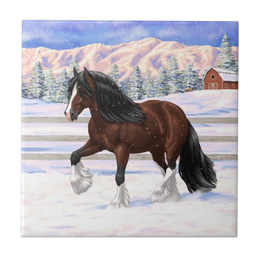 Brawn Bay Sinti und Roma Vanner Pferdefüsse im Sch Fliese (Vorderseite)