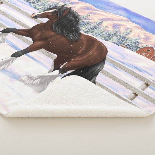 Brawn Bay Sinti und Roma Vanner Pferdefüsse im Sch Sherpadecke (3/4)