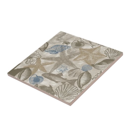 Brawn Beach Blue Muscheln Fliese (Seite)