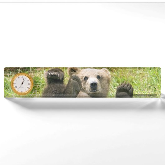 Brawn Bear Kodiak Cub Geschenke Namensplakette (Vorderseite)