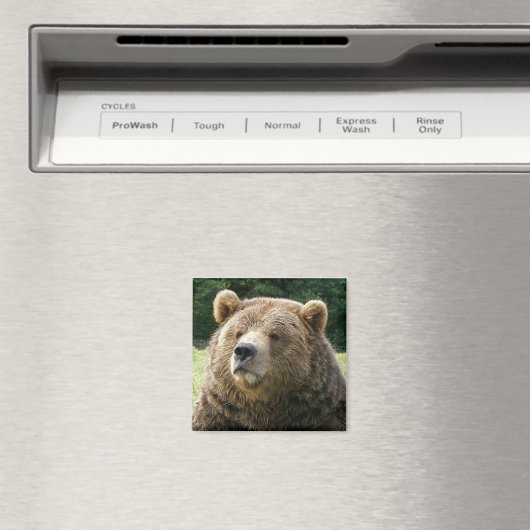 Brawn Bear Magnet (In Situ (Geschirrspüler))