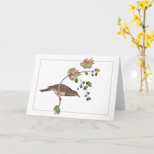 Brawn Bird auf einer farbenfrohen BlackBerry-Zweig Karte (Gelbe Blume)