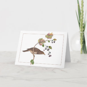 Brawn Bird auf einer farbenfrohen BlackBerry-Zweig Karte