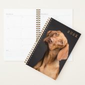Brawn Dog Face Foto Template Jährlicher Planer (Anzeige)