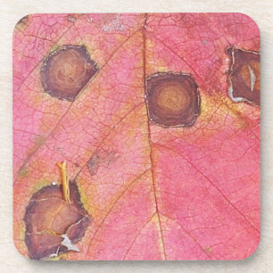 Brawn Dotted Red Fall Leaf Getränkeuntersetzer