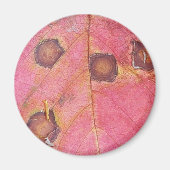 Brawn Dotted Red Fall Leaf Magnet (Vorne)