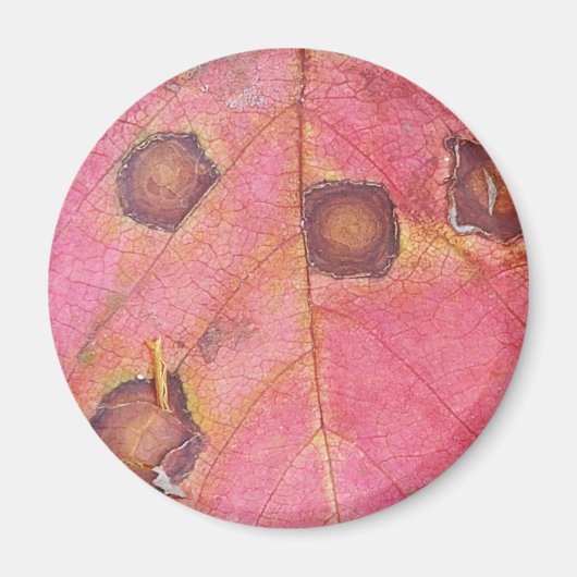 Brawn Dotted Red Fall Leaf Magnet (Vorne)