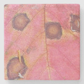Brawn Dotted Red Fall Leaf Steinuntersetzer (Vorderseite)