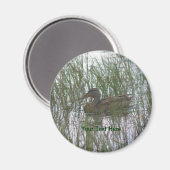 Brawn Duck Nature Fotografy Magnet (Vorderseite/Rückseite)