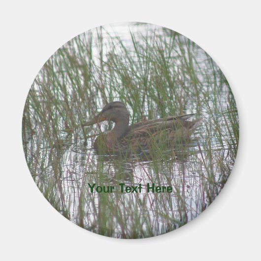 Brawn Duck Nature Fotografy Magnet (Vorne)