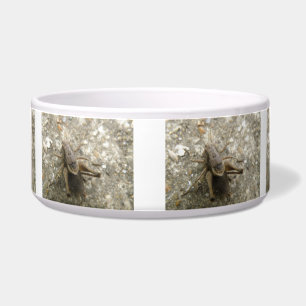 Brawn Field Cricket Dowl Napf