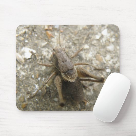 Brawn Field Cricket Mousepad (Mit Mouse)