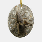Brawn Field Cricket Ornament (Rechts)