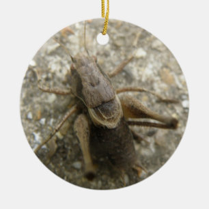 Brawn Field Cricket Ornament