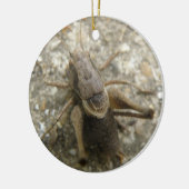 Brawn Field Cricket Ornament (Links)