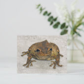 Brawn Frosch Foto Postkarte (Stehend Vorderseite)