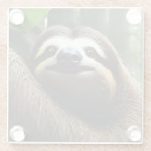 Brawn Fuzzy Sloth, Foto Block Glasuntersetzer (Rückseite)