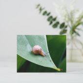 Brawn Garden Snail Postkarte (Stehend Vorderseite)