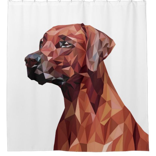 Brawn Geometric Dog White Duschvorhang (Vorderseite)