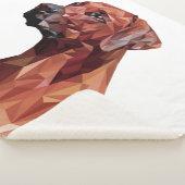 Brawn Geometric Dog White Sherpadecke (3/4)