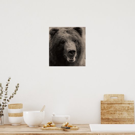 Brawn Grizzly Bär Wildlife Foto Poster (Küche)