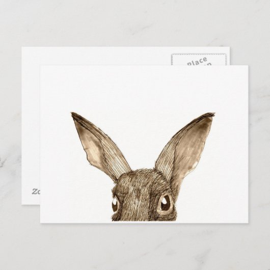 Brawn Hare II Postkarte (Vorne/Hinten)