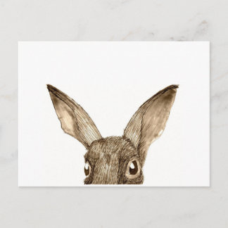 Brawn Hare II Postkarte