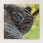 Brawn Highland Cow Puzzle (Horizontal)