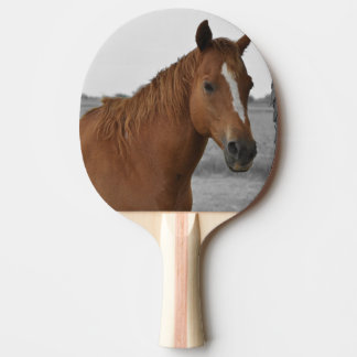 Brawn Horse, B&W Background Ping Pong Paddle Tischtennis Schläger