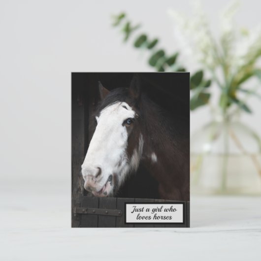 Brawn Horse on Farm Nur ein Mädchen, das Pferde Li Postkarte (Stehend Vorderseite)
