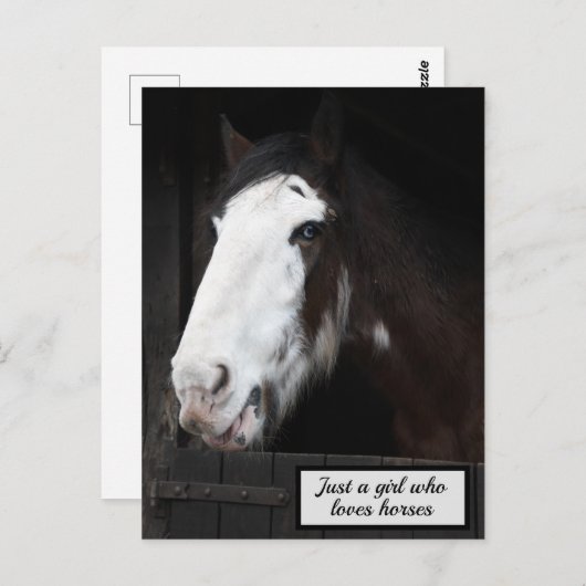 Brawn Horse on Farm Nur ein Mädchen, das Pferde Li Postkarte (Vorne/Hinten)