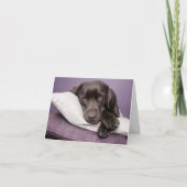 Brawn Labrador Retriever Puppy Doppy Blank Note Ca Karte (Vorderseite)
