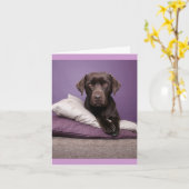 Brawn Labrador Retriever Puppy Doppy Blank Note Ca Karte (Gelbe Blume)