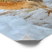 Brawn Leghorn Chicken Poster (Ecke)