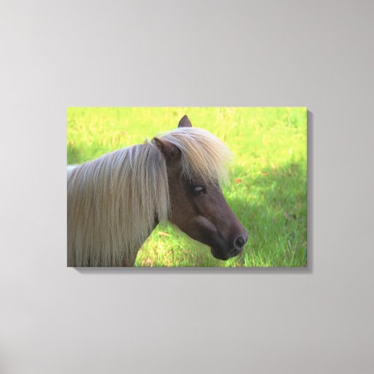 Brawn Miniaturpferd mit Blonde Mane Leinwanddruck (Vorderseite)