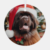Brawn Newfundland Hunde Weihnachtsmannmütze Orname Ornament Aus Glas (Rückseite)